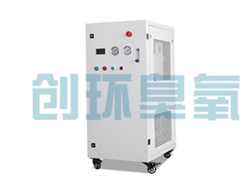 长沙石斑鱼养殖水质调控完整指南:臭氧发生器配置与操作步骤