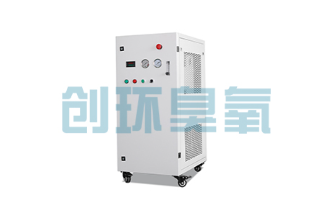 长沙比传统换水更高效?臭氧发生器在石斑鱼养殖中的水质净化原理解析